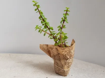 סוקולנט עטוף בכוסית רגלנית אפריקנית